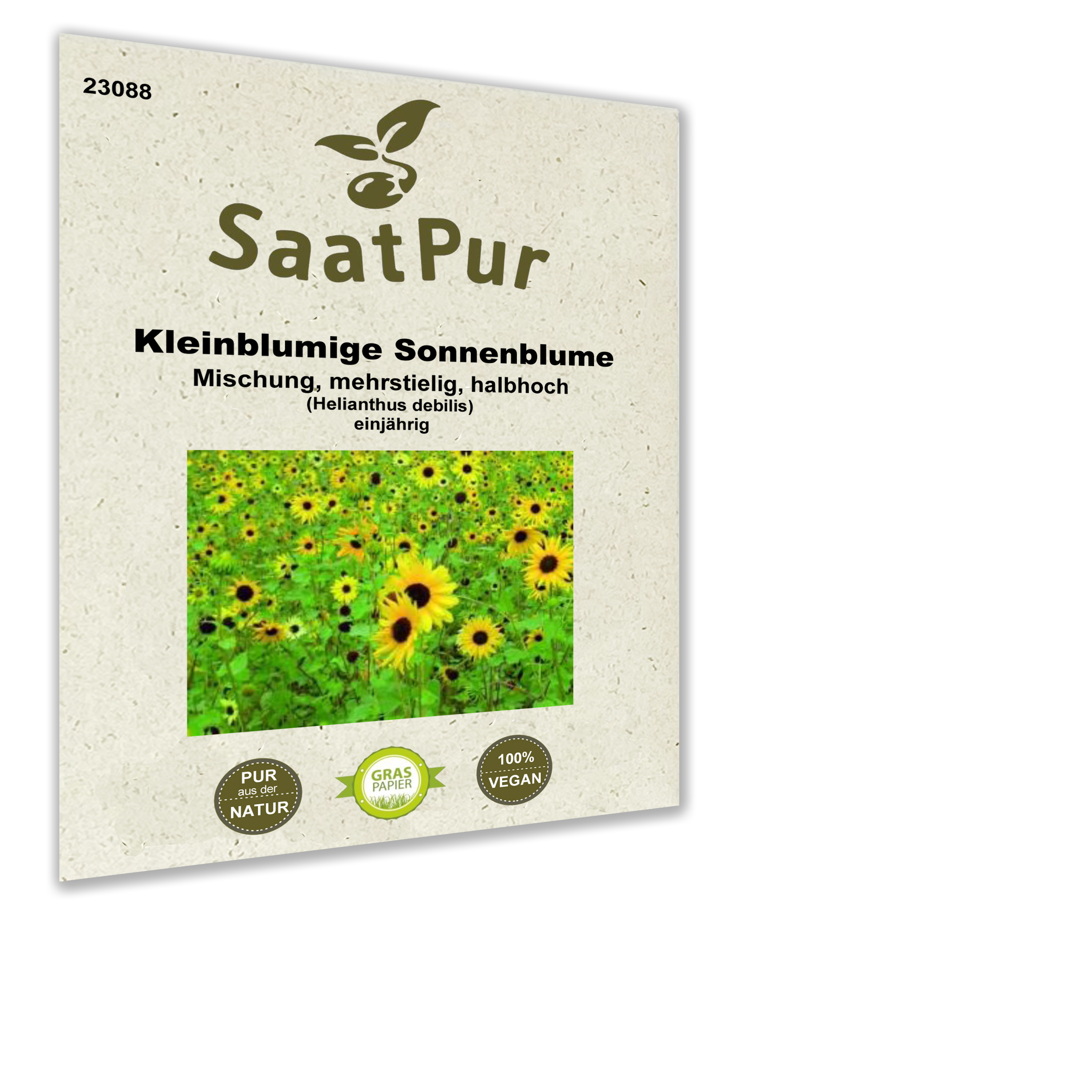 Sonnenblume kleinblumige Mischung