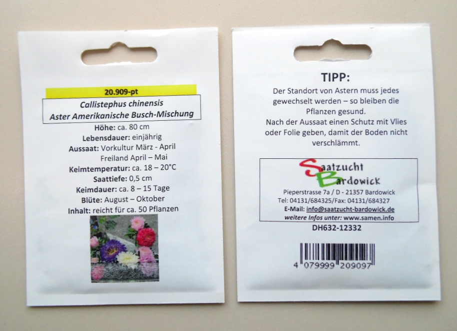 Aster Amerikanische Busch-Mischung