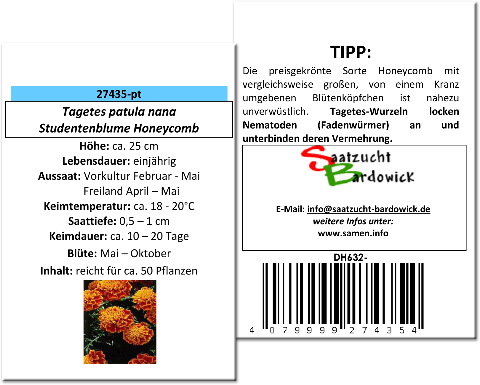 Studentenblume Honeycomb
