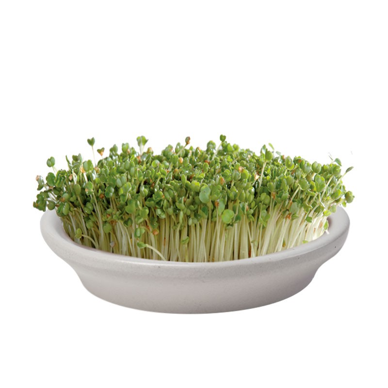 Eschenfelder Kressesieb 16 cm