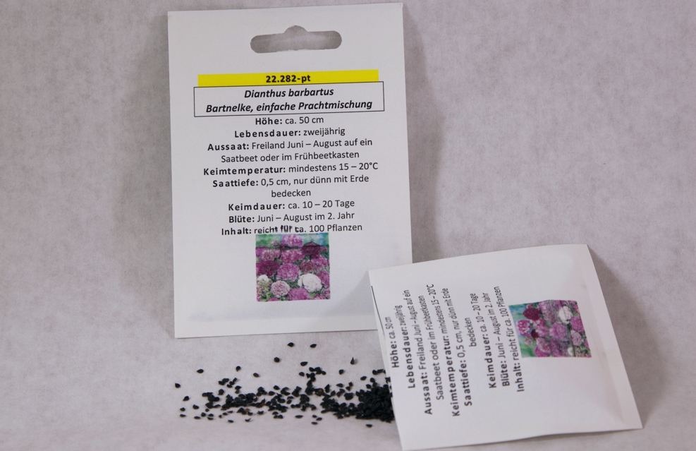 Bartnelken einfache Prachtmischung