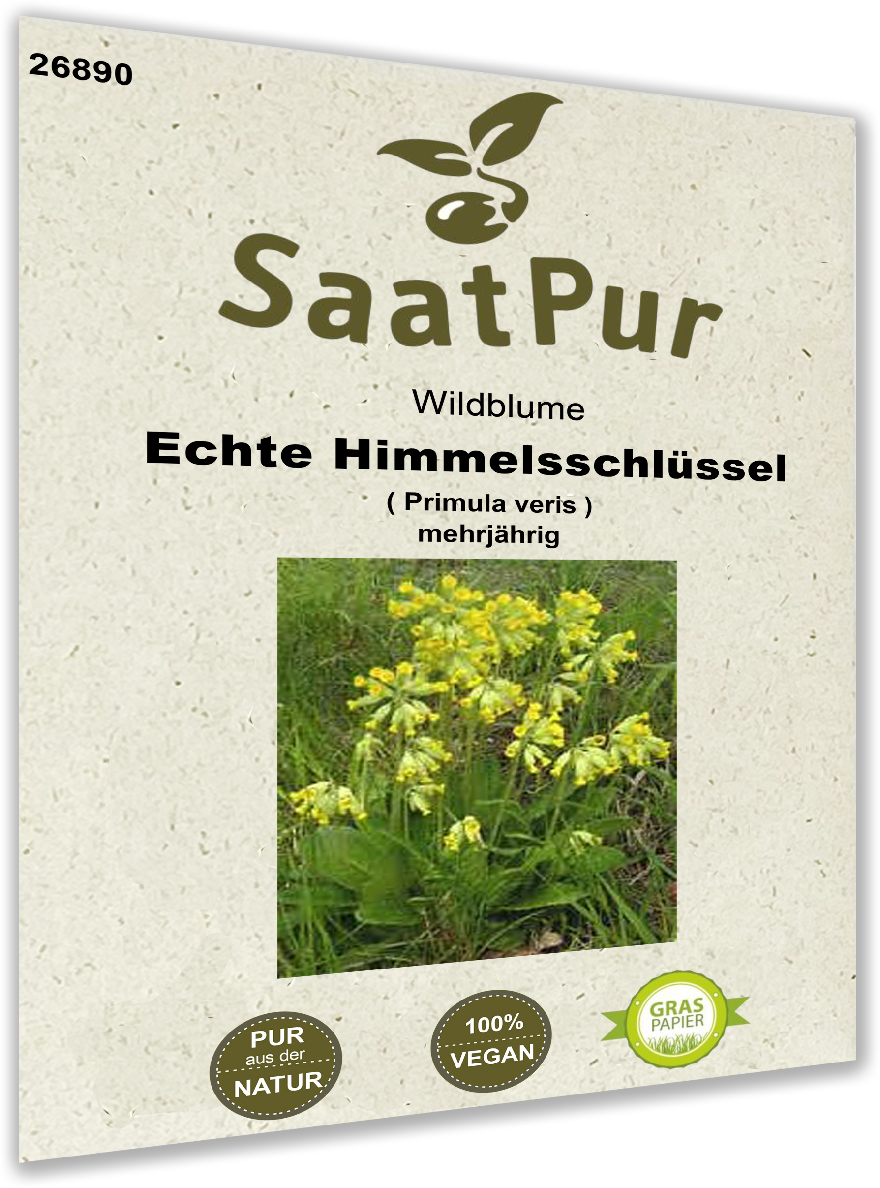 Echte Himmelsschlüssel, Wildblume