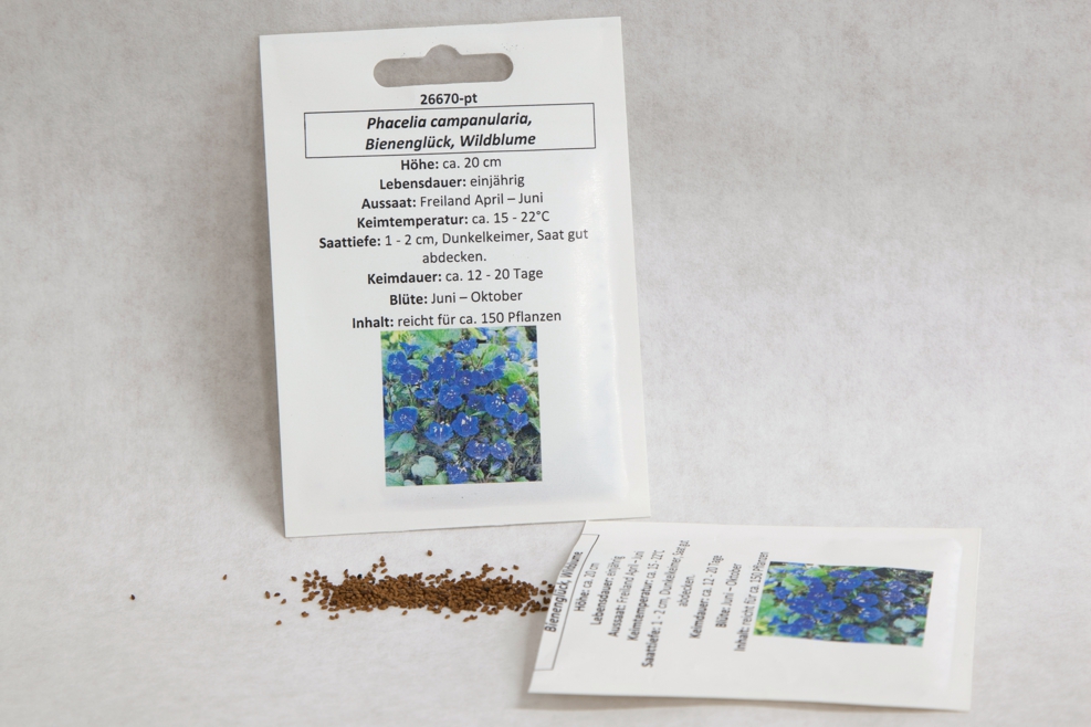 Bienenglück, Wildblume