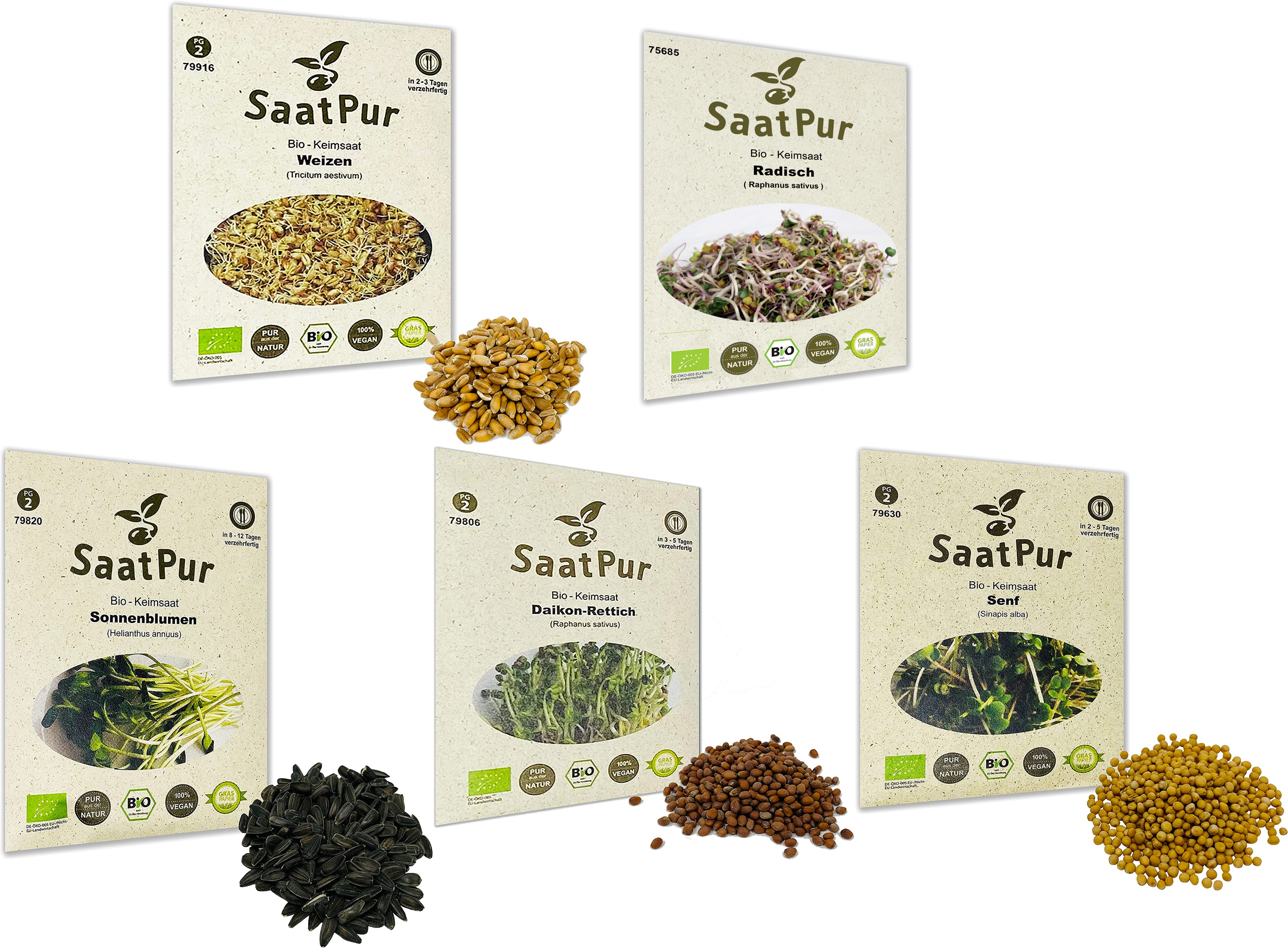 BIO Keimsprossen Body Power MIX Keimsaat