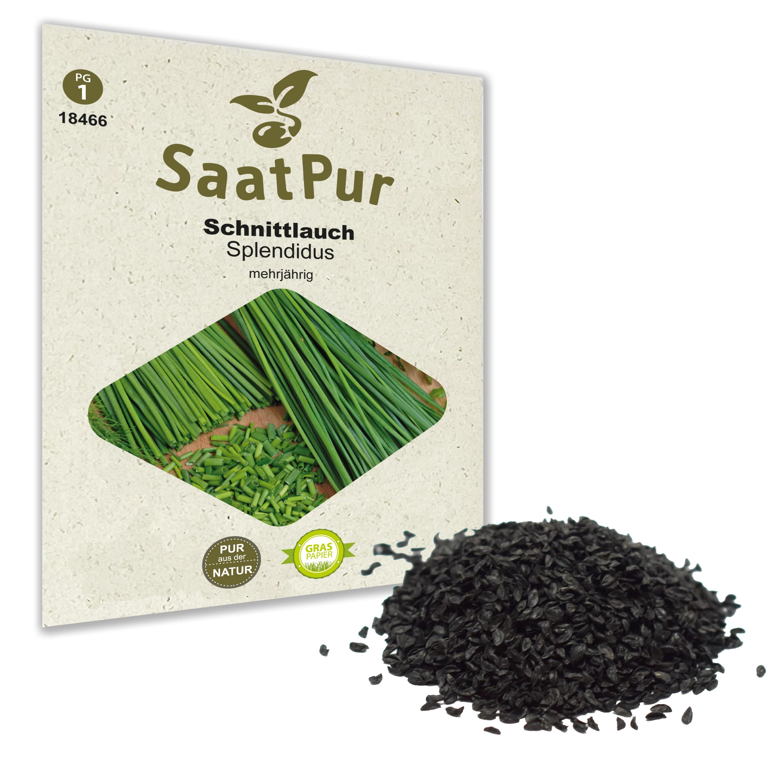 Schnittlauch Splendidus - für ca. 200 Pflanzen