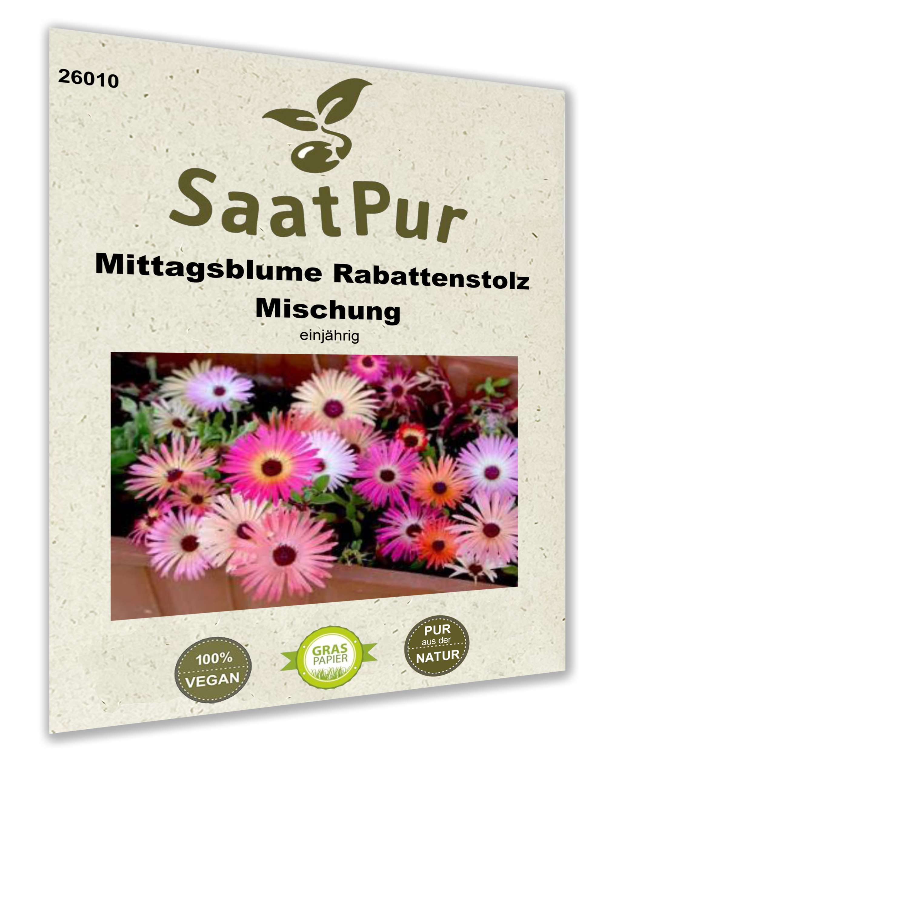 Mittagsblume, Rabattenstolz Mischung
