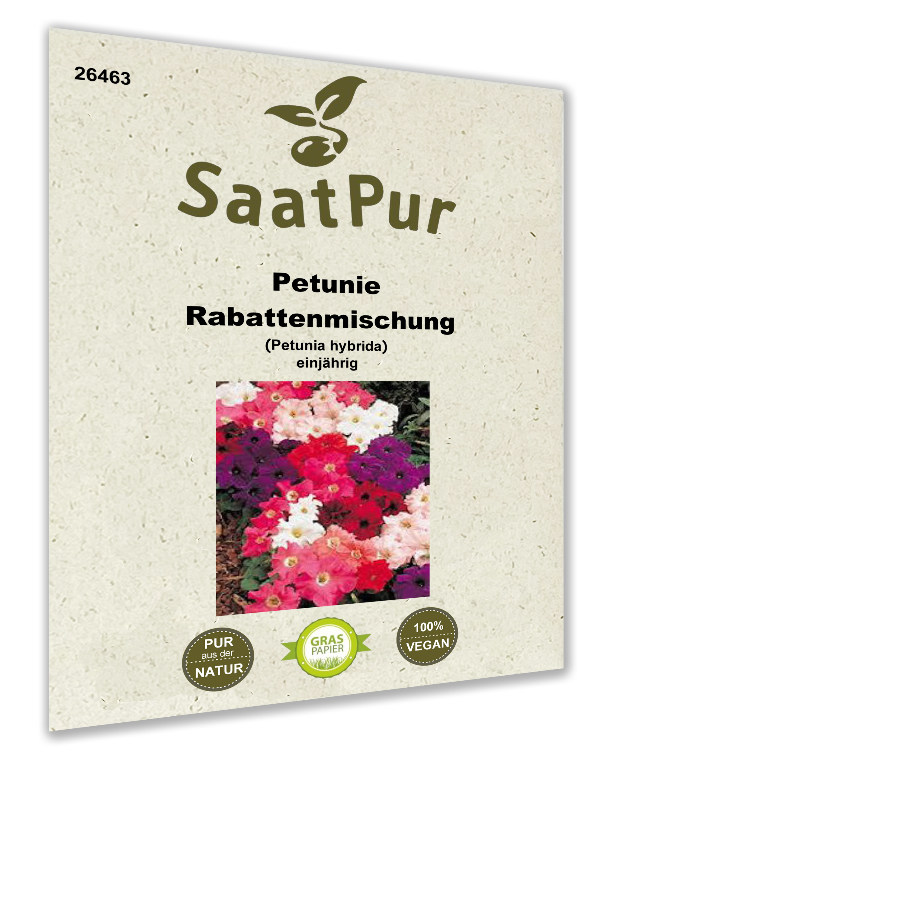 Petunie Rabattenmischung