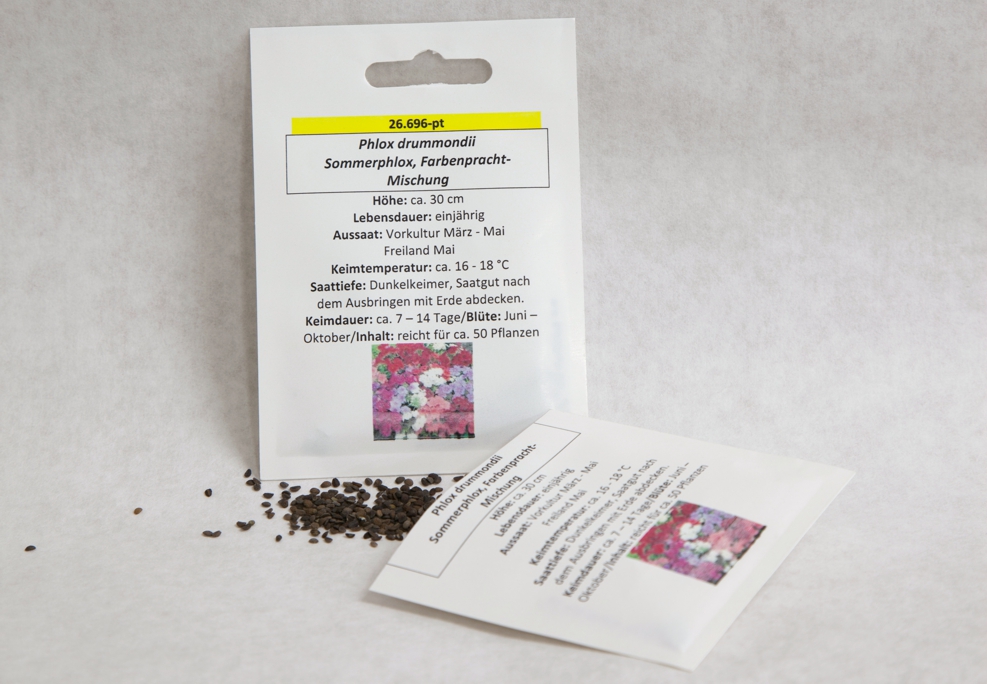 Sommerphlox, Flammenblume, Farbenpracht