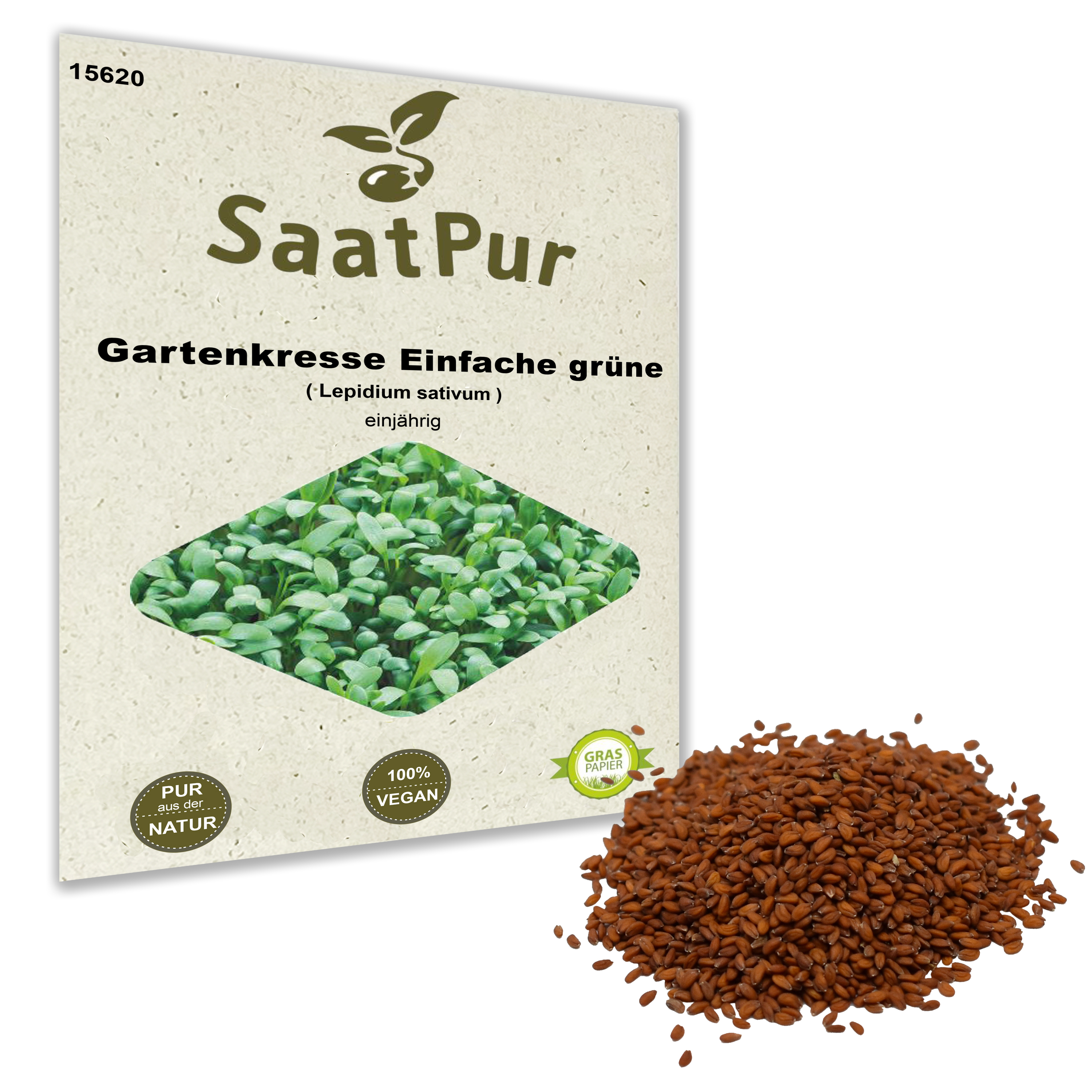 Gartenkresse - einfache grüne - für ca 2500 Pflanzen