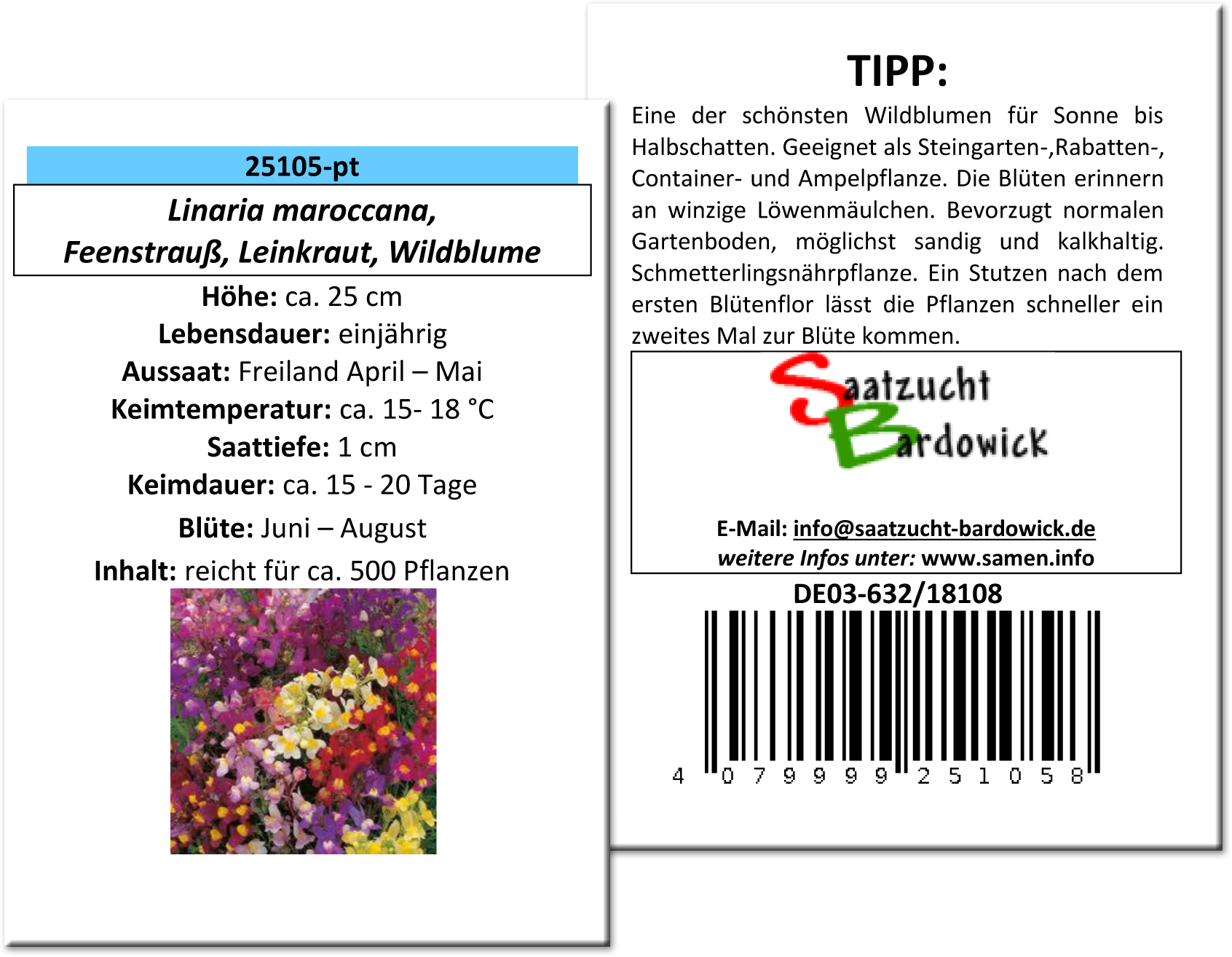 Feenstrauß, Leinkraut, Wildblume