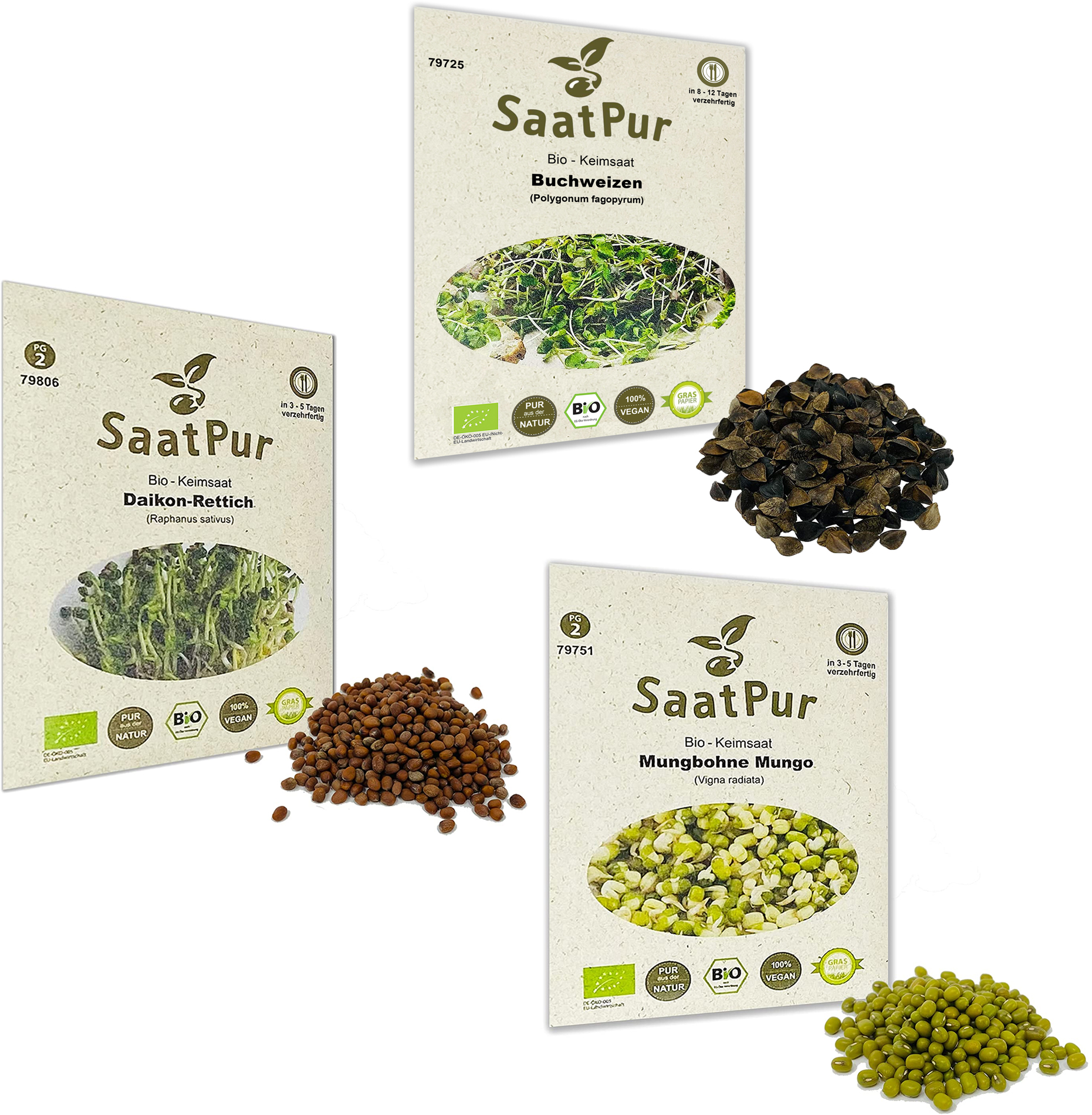 BIO Keimsprossen Fitness MIX Mischung Keimsaat