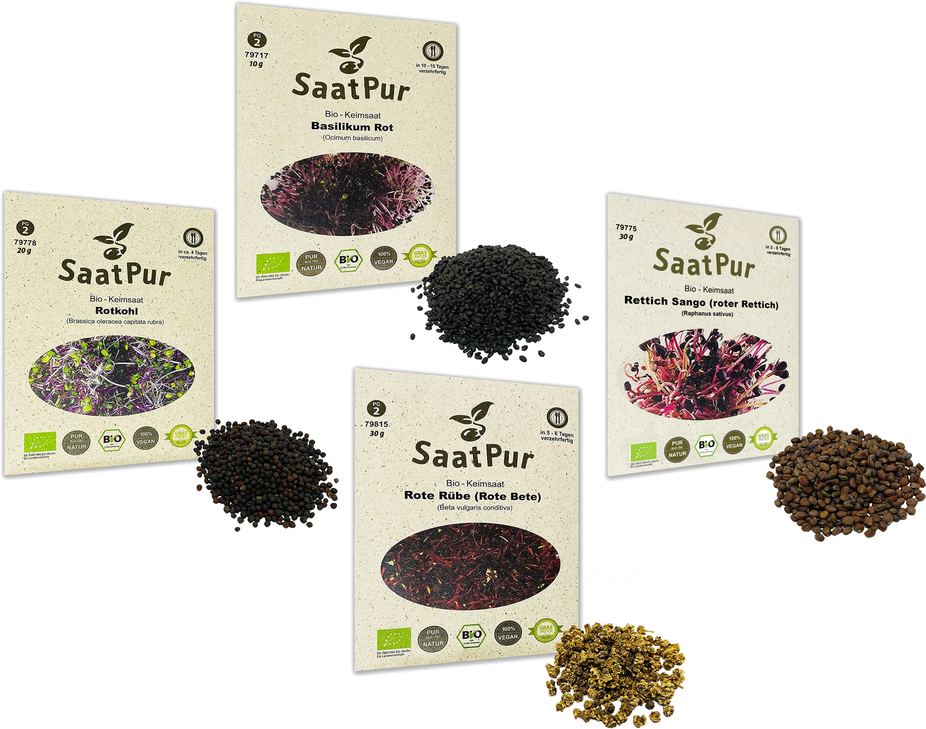 Red Energie Mix Bio-Keimsprossen Set - Radish Sango Rotkohl Basilikum Rote Beete