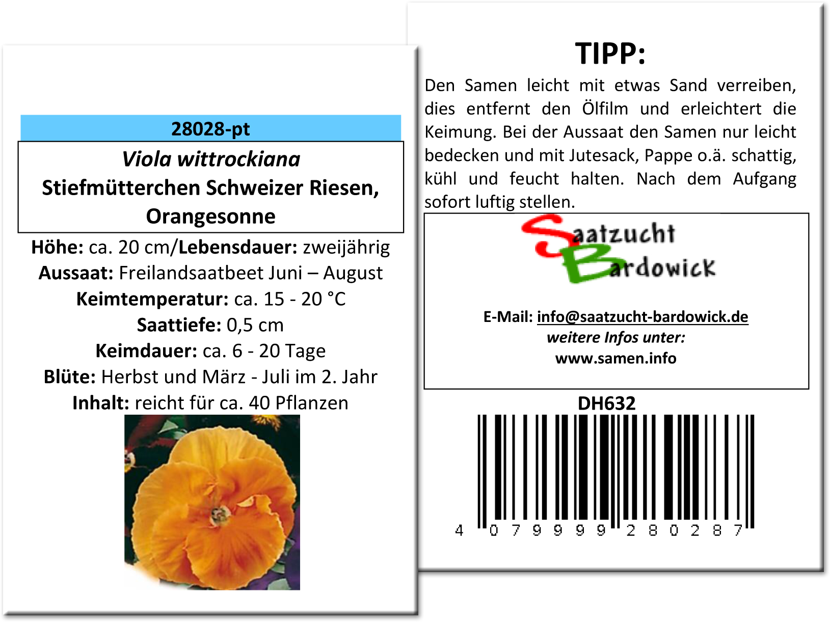 Stiefmütterchen Schweizer Riesen Orangesonne