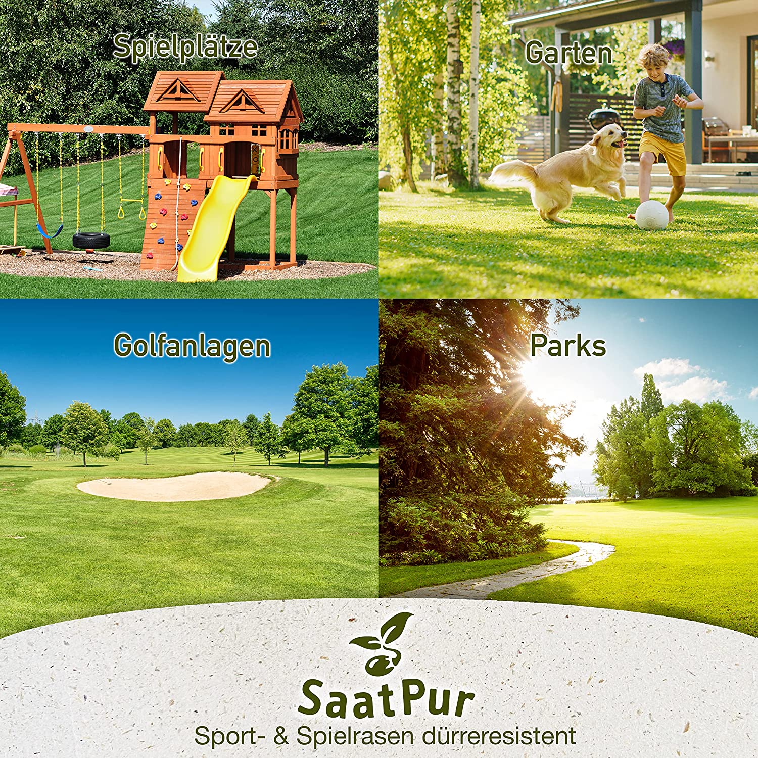 SaatPur Rasensamen dürre Sport & Spiel für trockene Standorte