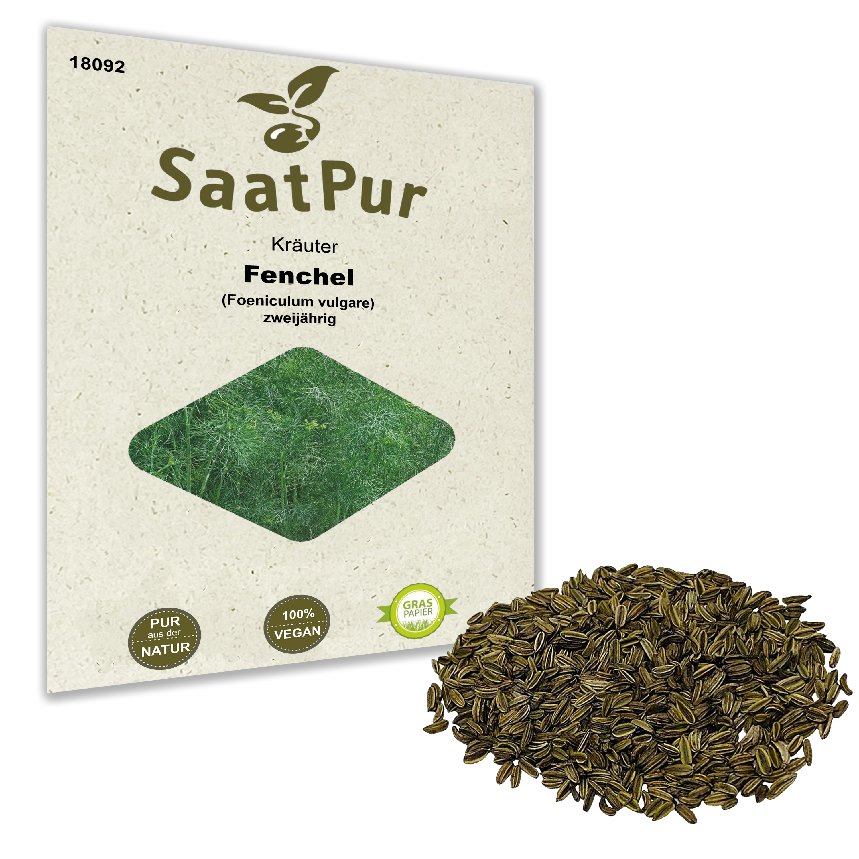 Fenchel (Foeniculum vulgare) zweijährig