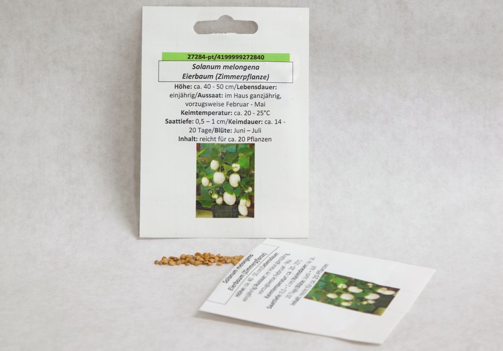 Eierbaum (Zimmerpflanze)