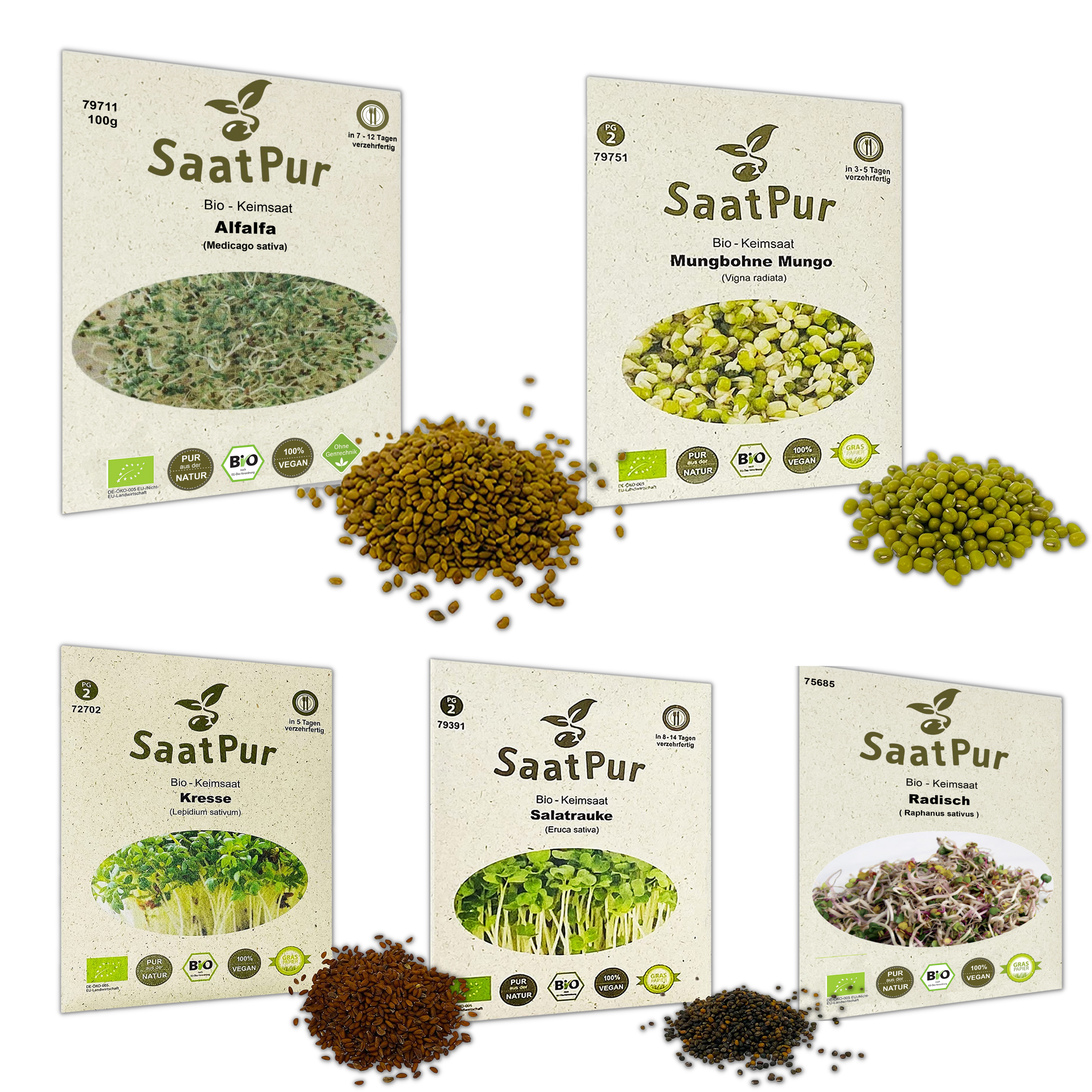 BIO Keimsprossen Easy Start MIX Keimsaat Anfänger