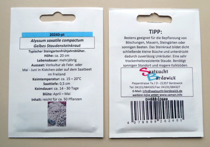 Gelbes Staudensteinkraut