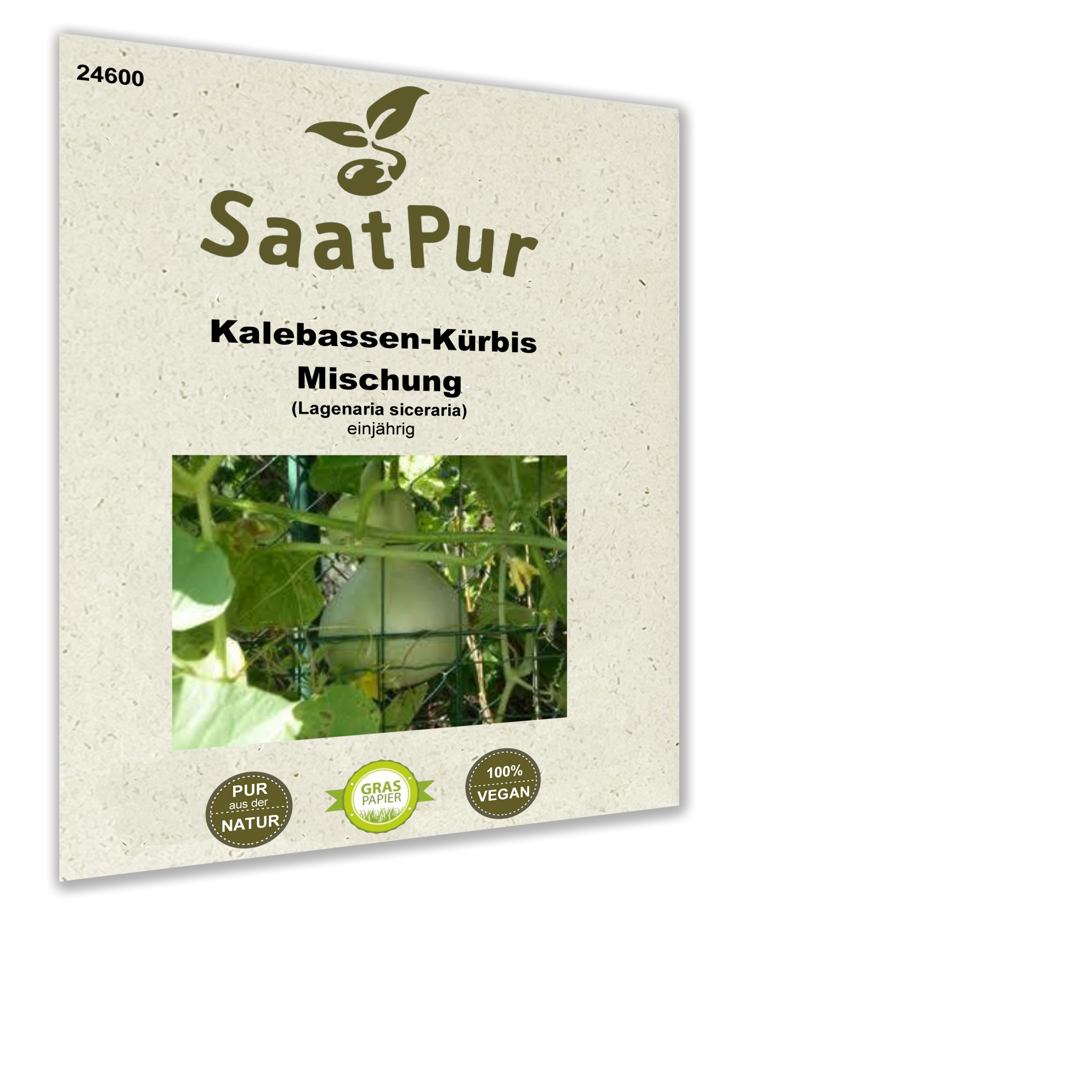 Kalebassen-Kürbis Mischung