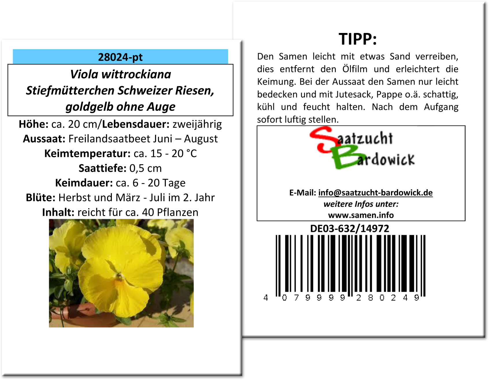 Stiefmütterchen Schweizer Riesen goldgelb ohne Auge