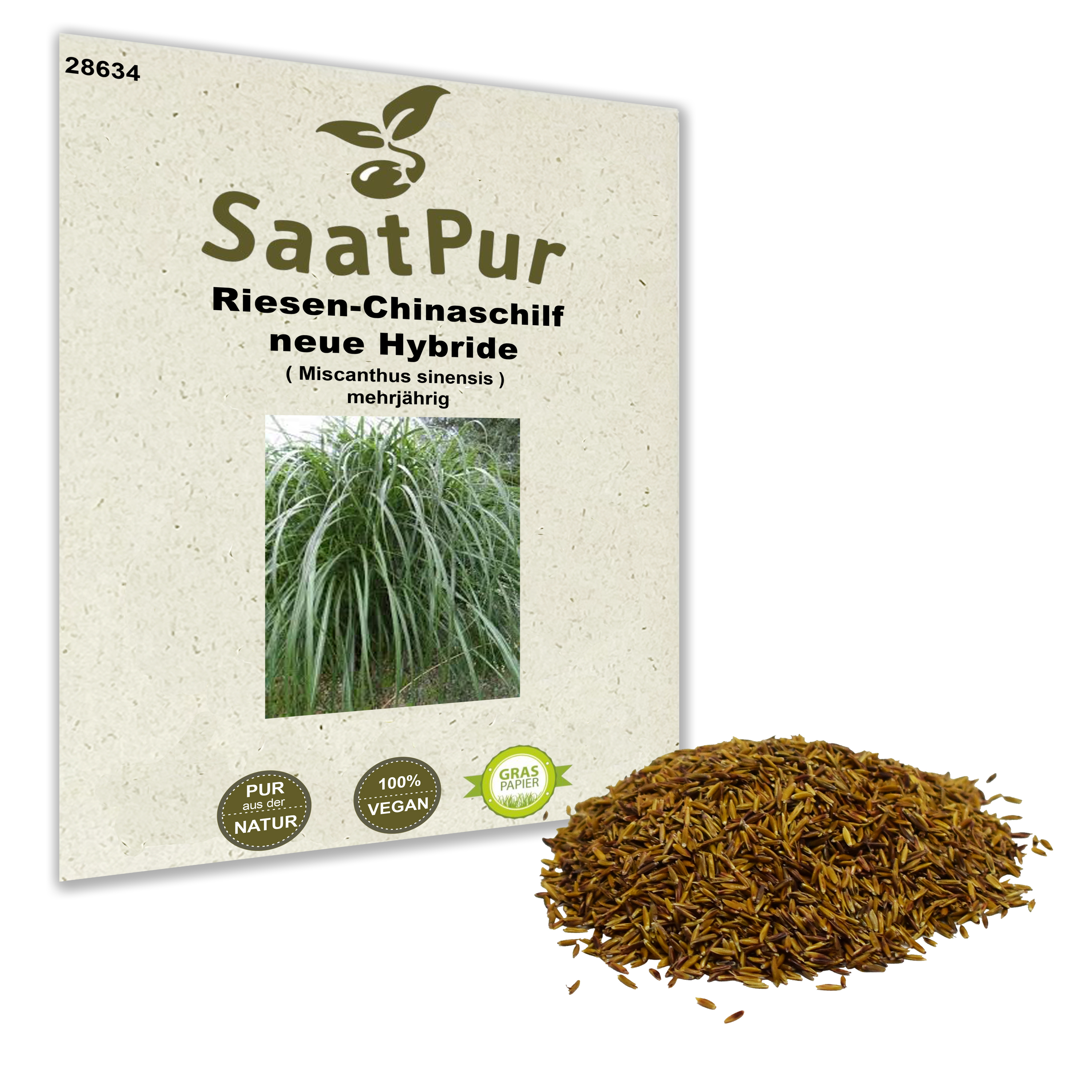 Riesen-Chinaschilf neue Hybriden