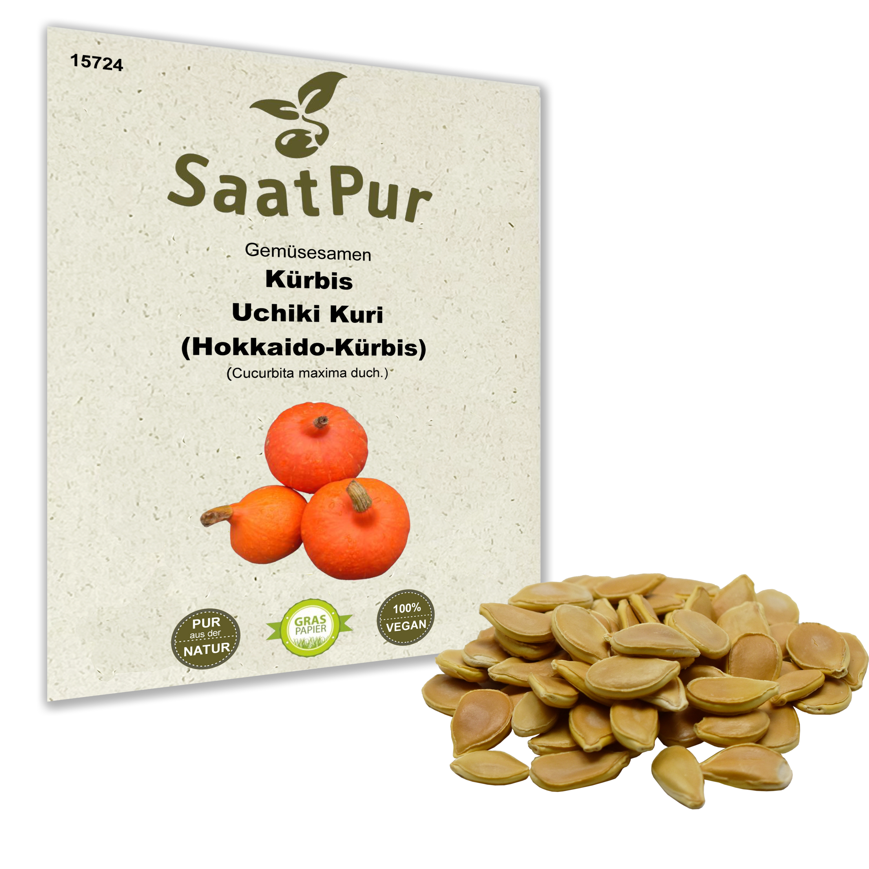 Kürbis Uchiki Kuri (Hokkaido-Kürbis)