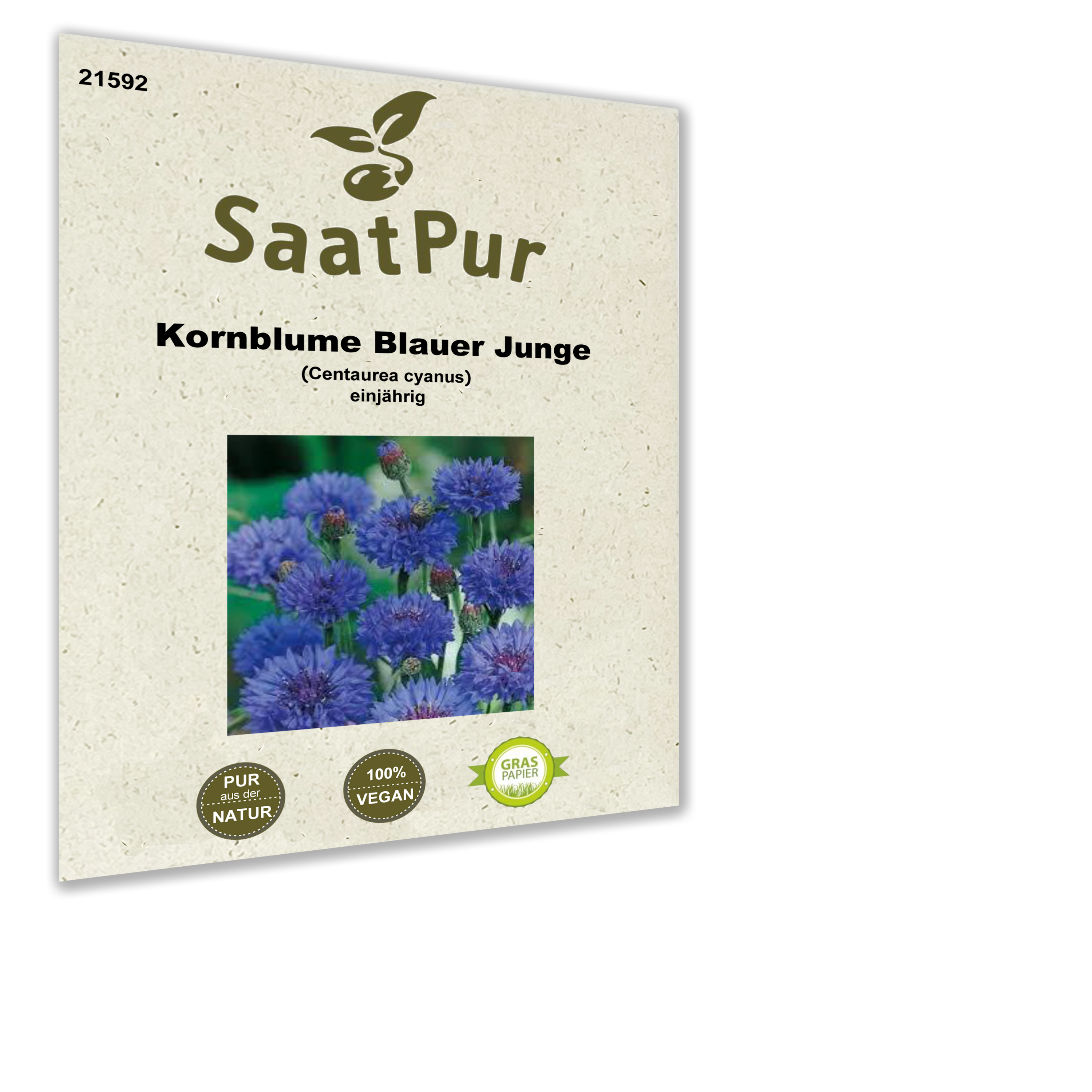 Kornblume Blauer Junge