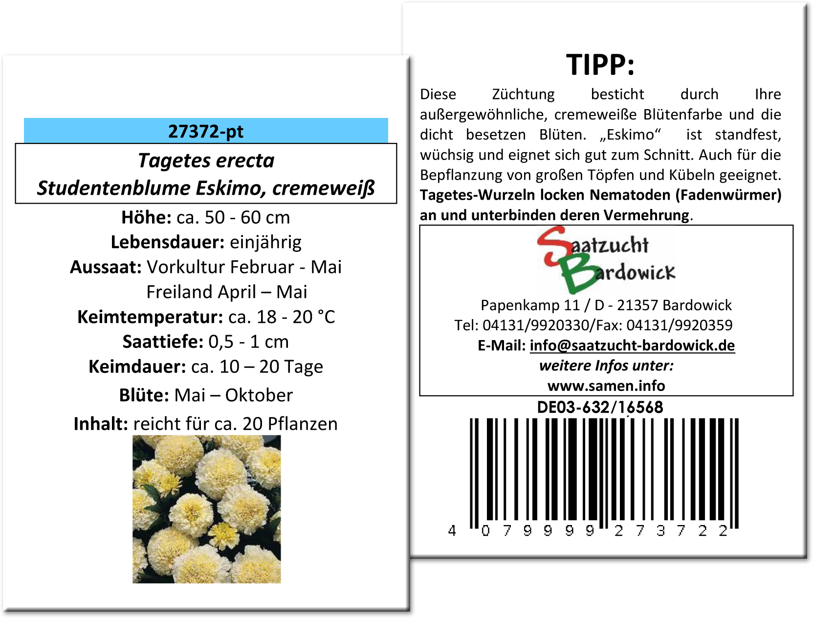 Studentenblume Eskimo / Tagetes erecta