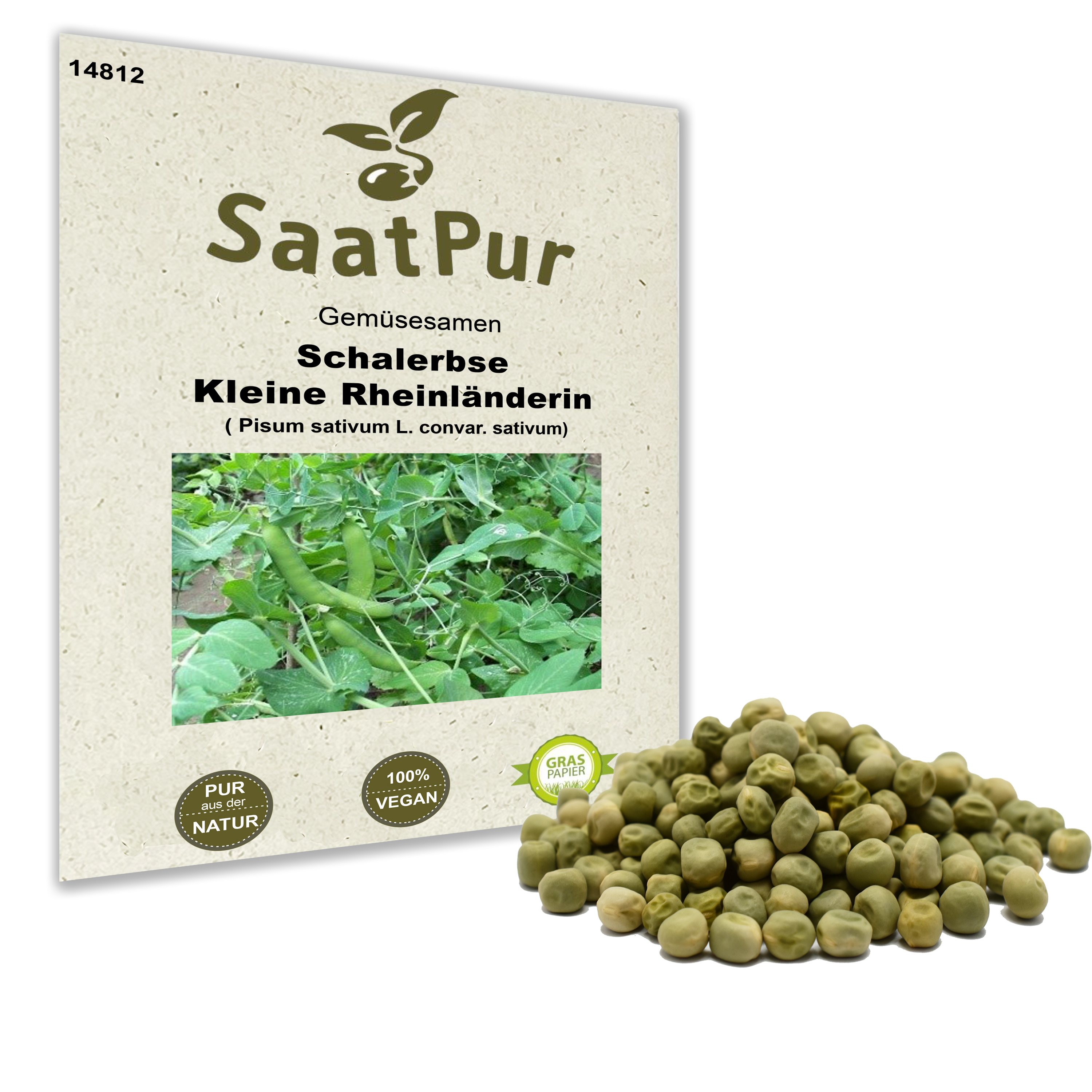 Schalerbse "Kleine Rheinländerin"