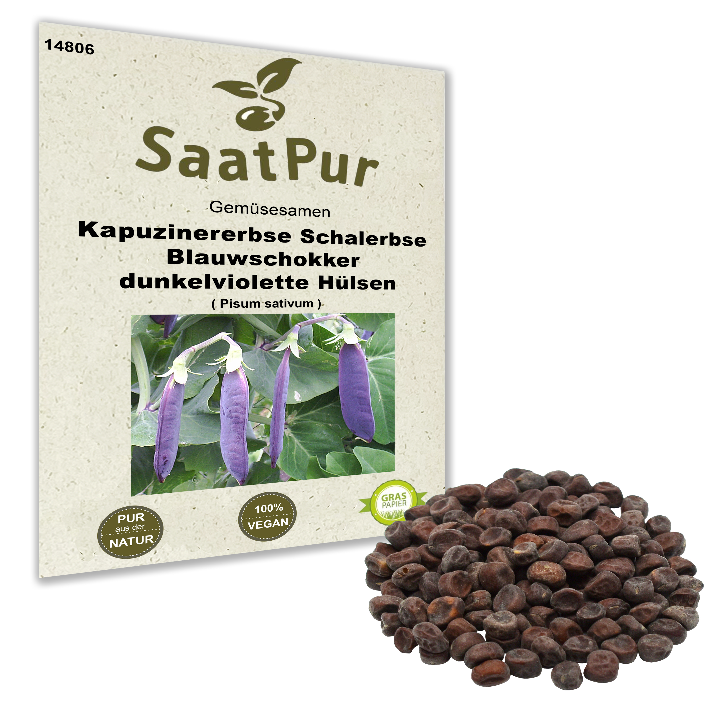 Schalerbse (Kapuzinererbse) Blauwschokker