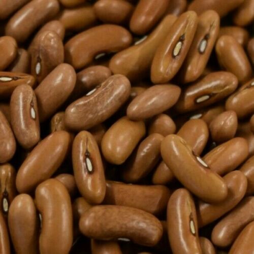 Buschbohne Maxi / Großpackung 250 g