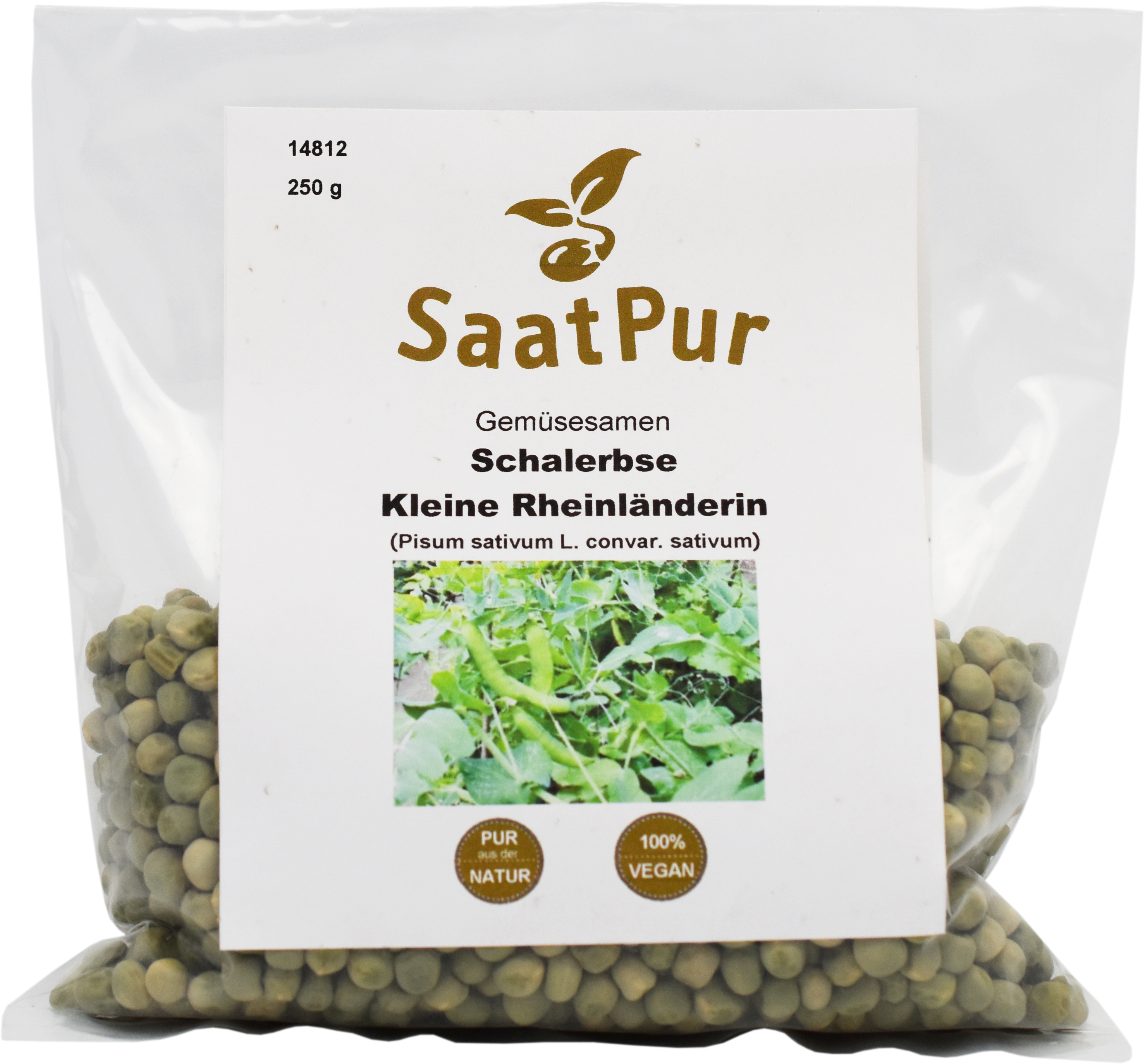 Schalerbse "Kleine Rheinländerin" / Großpackung 250 g