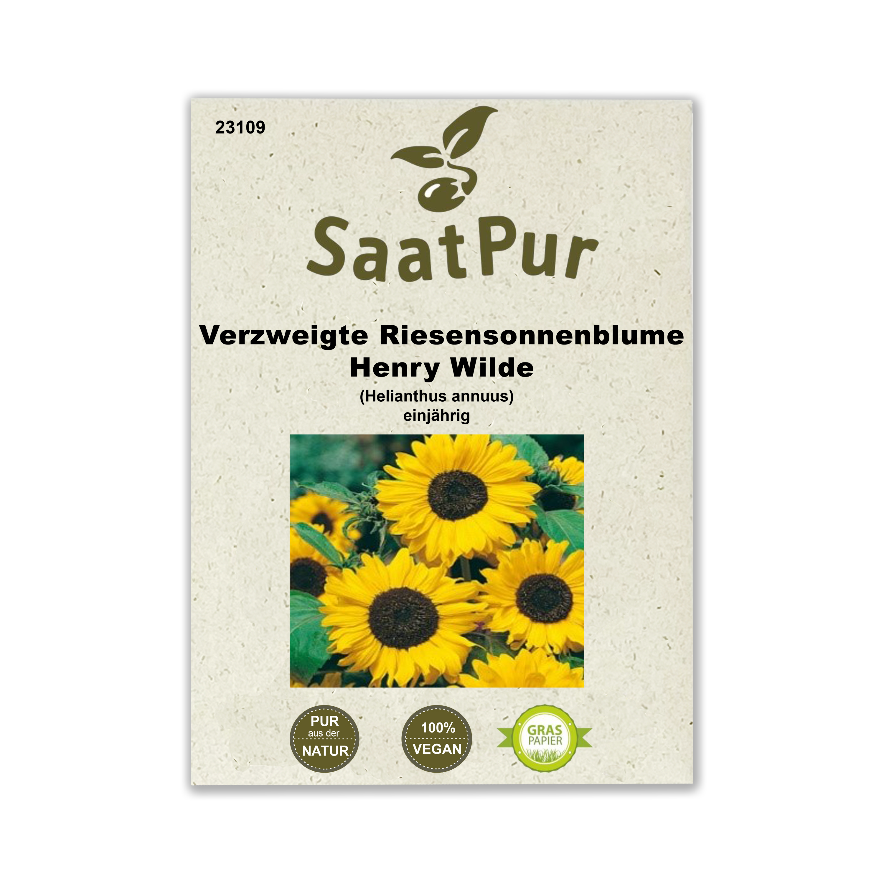 Sonnenblume Henry Wilde