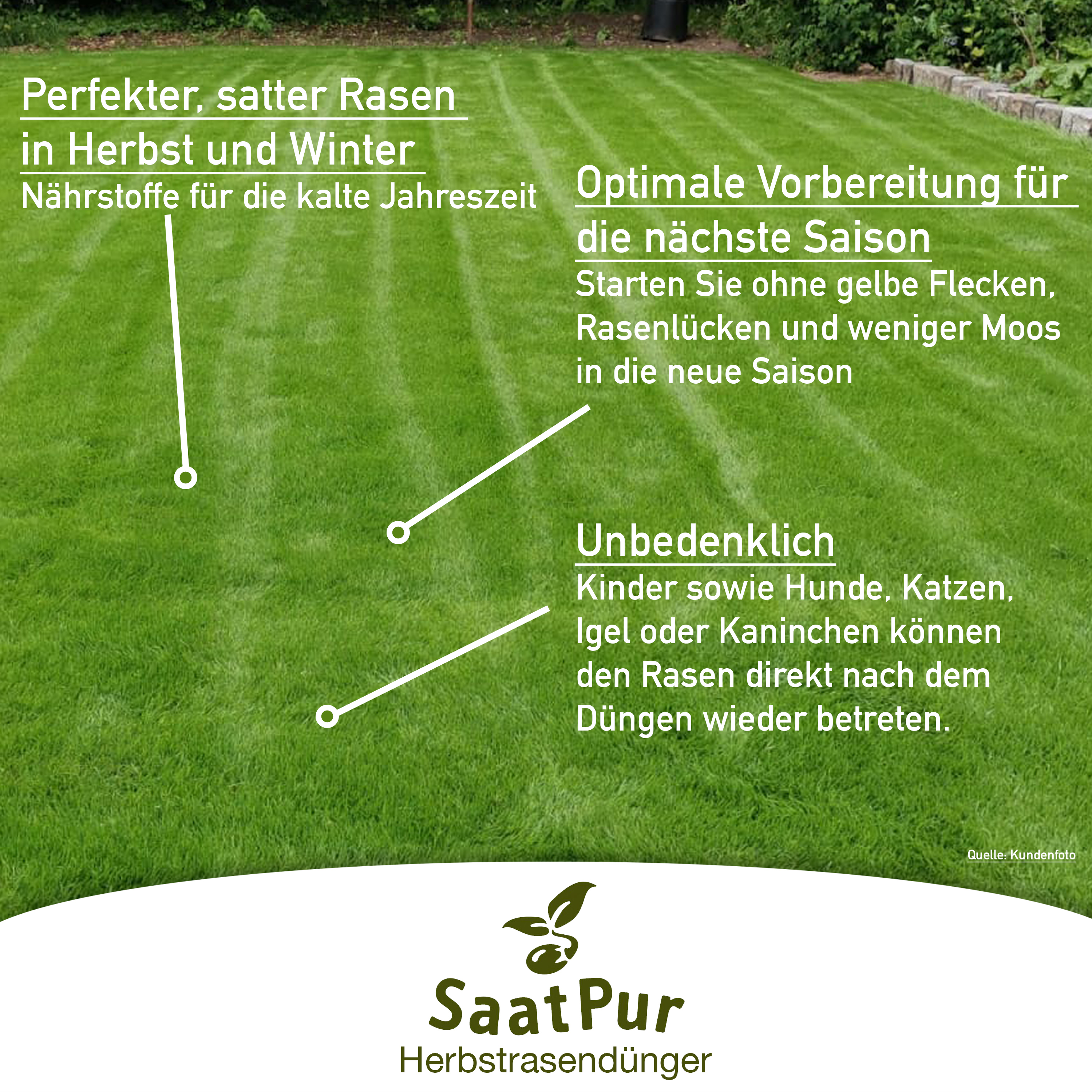 25kg Rasendünger Herbst für einen Kräftigen, Winterfesten, Gesunden Rasen - NPK Dünger